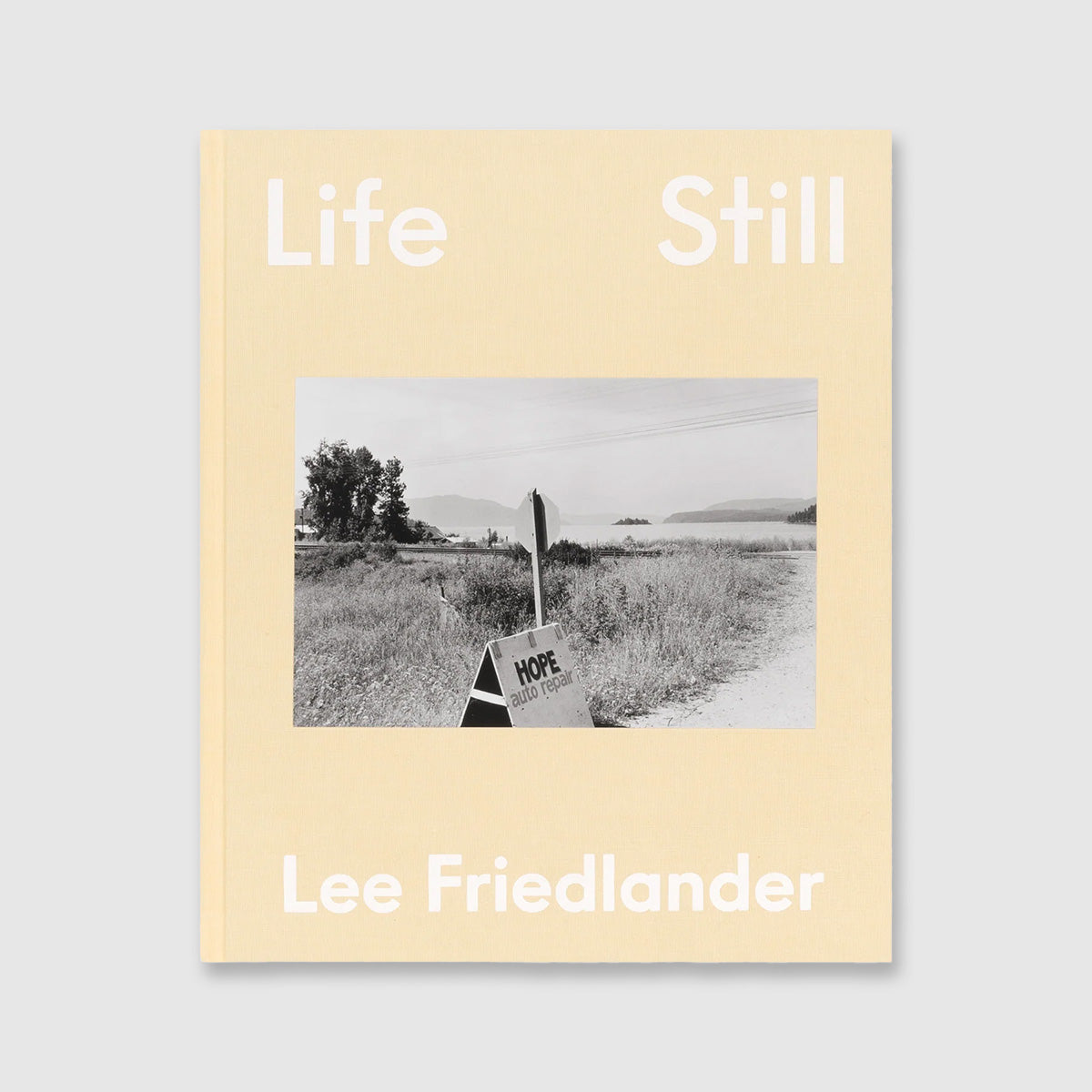 Life Still