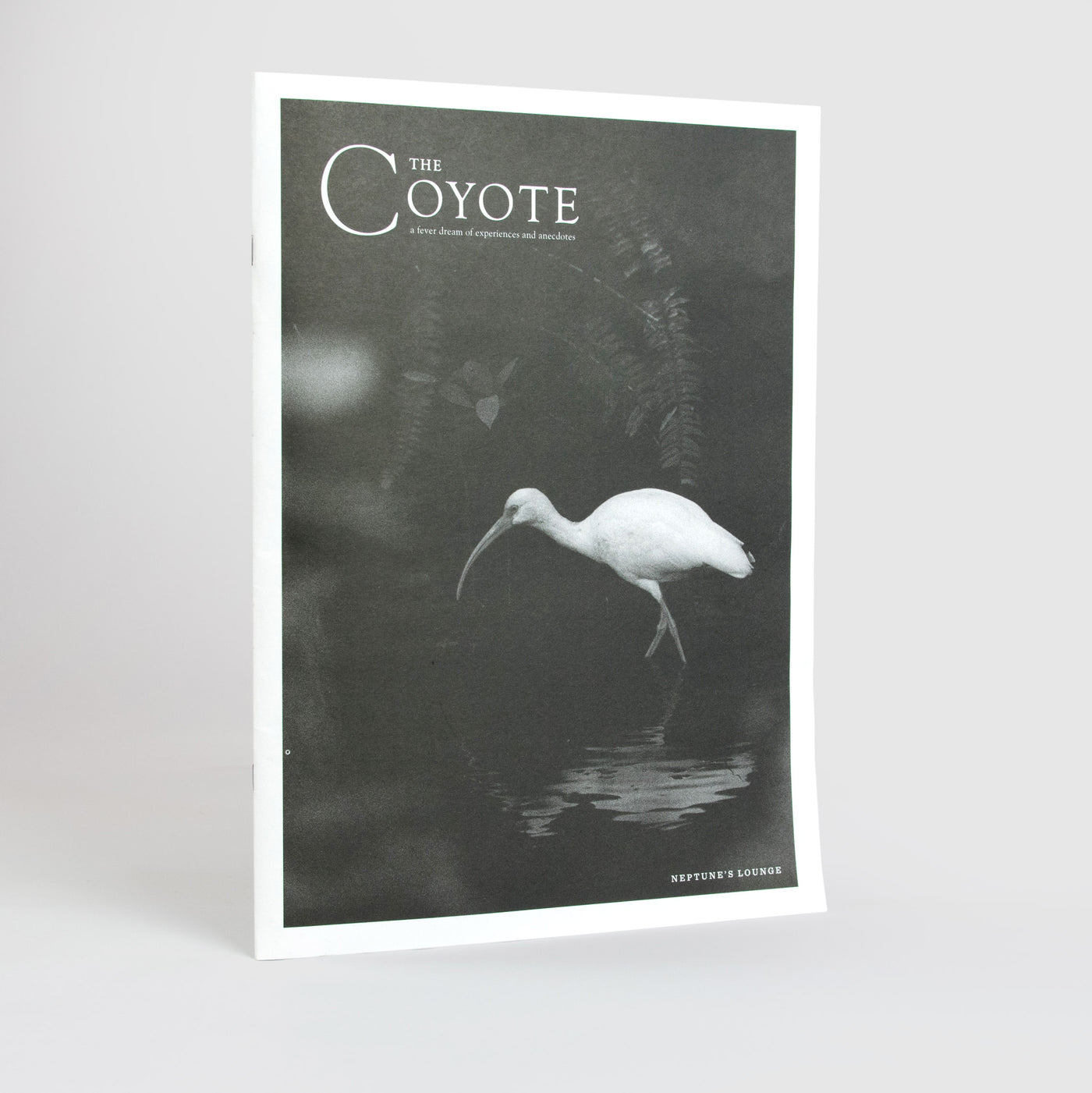 The Coyote: Neptune's Lounge