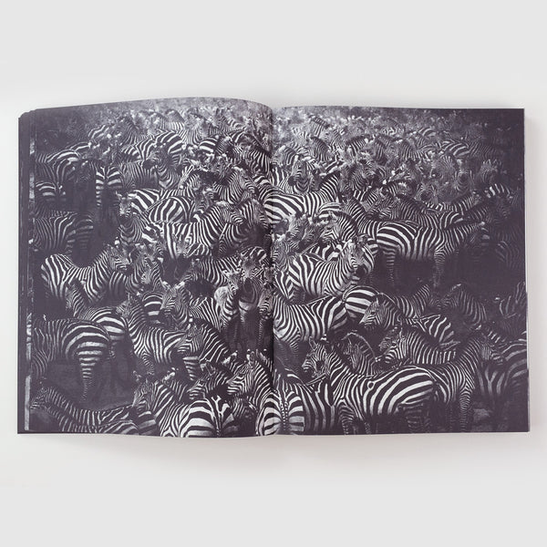 Closer - Charcoal Book Club
