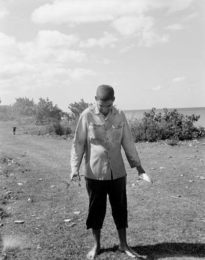 Mango Season