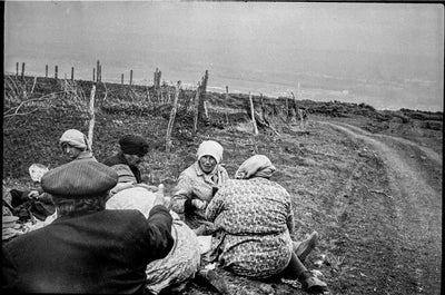 Tagveti
