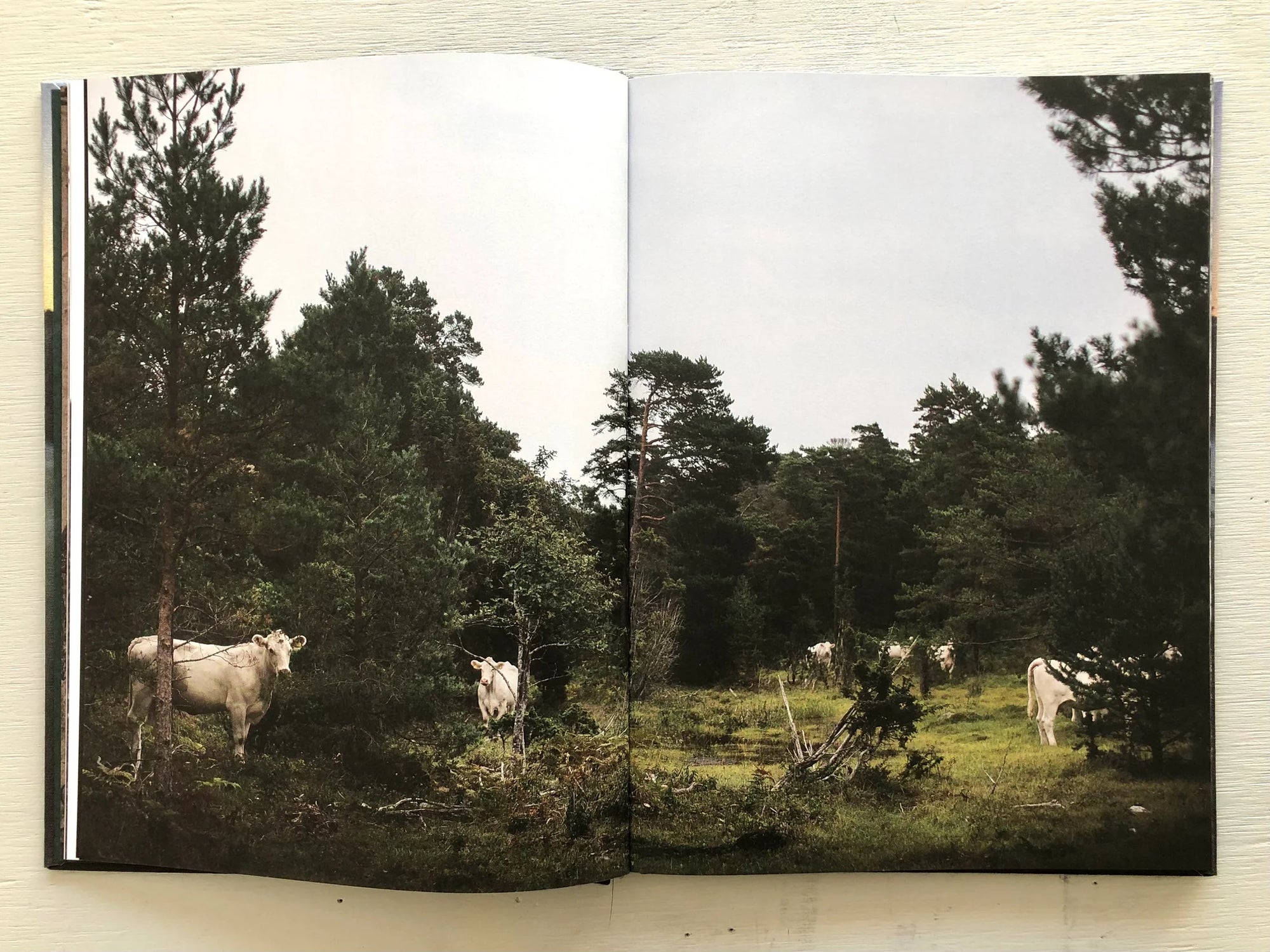 Råda bot, alstra ro