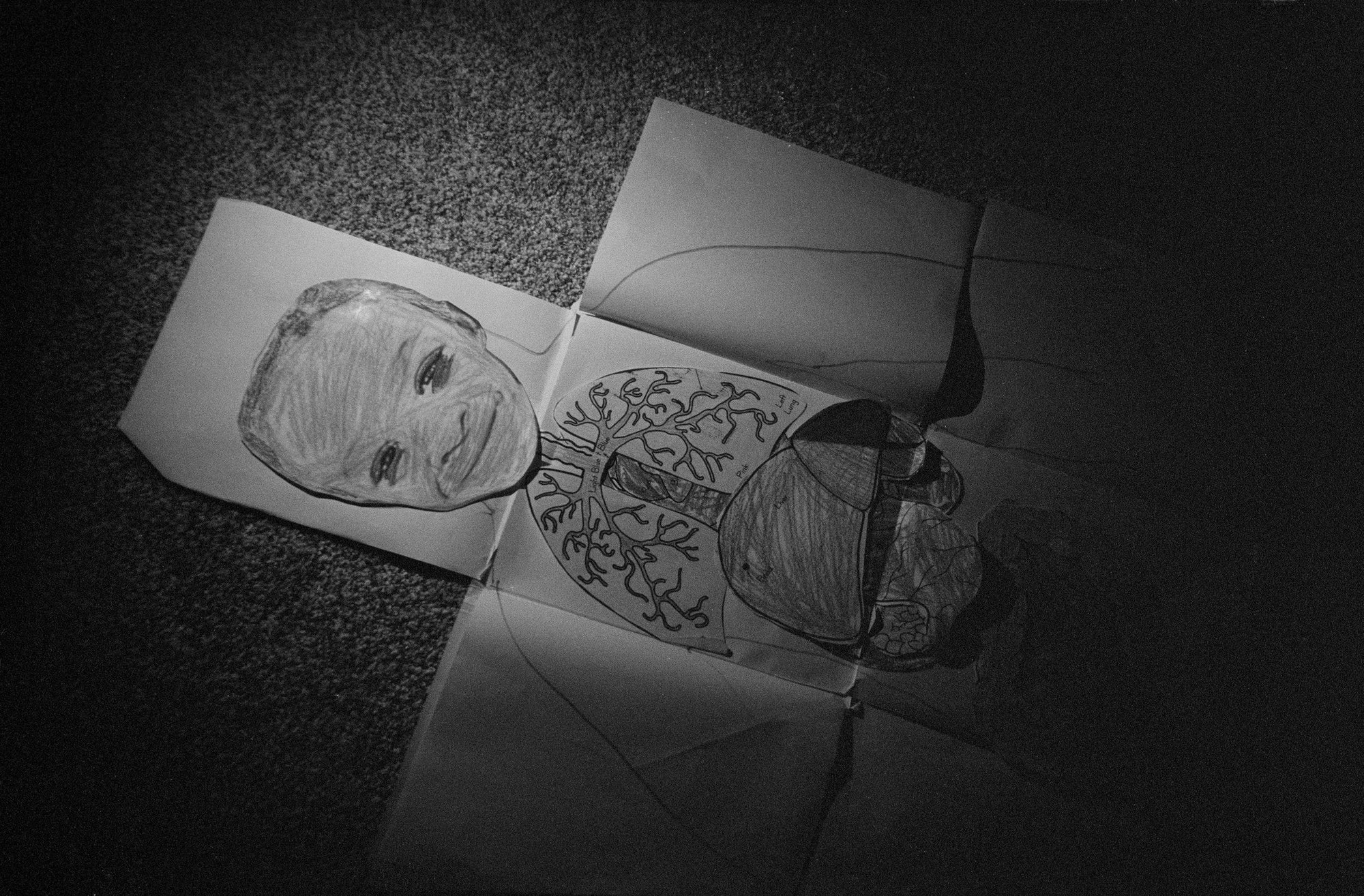 The Seraphim Slipcase Edition