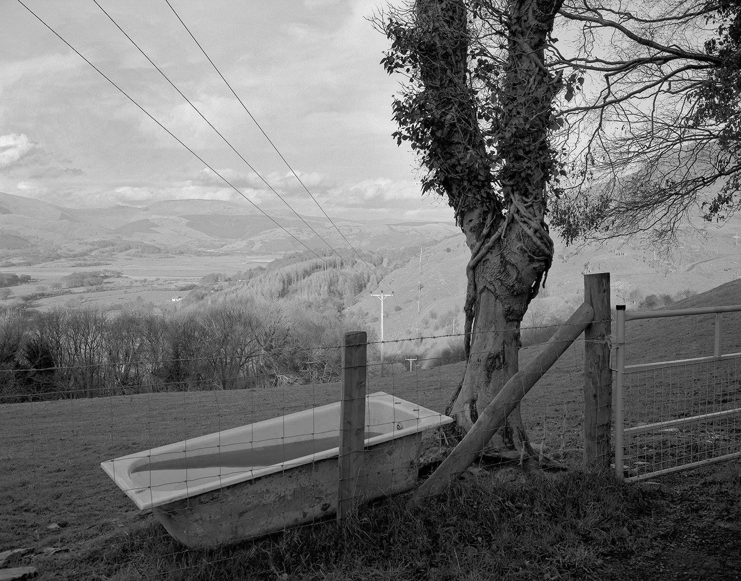 Field Trips: Travels In Britain 1976-1993