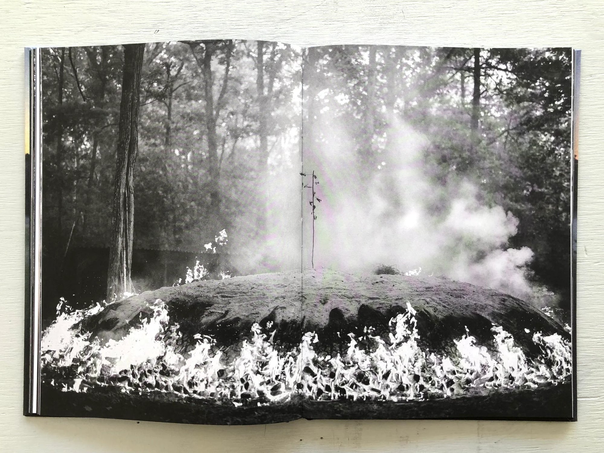 Råda bot, alstra ro