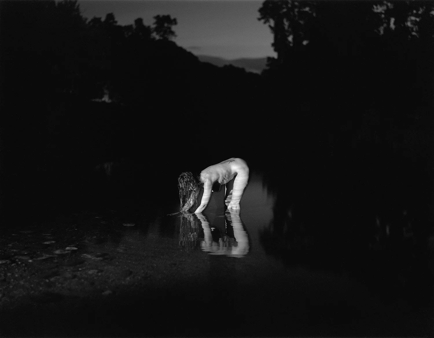 At Night Gardens Grow