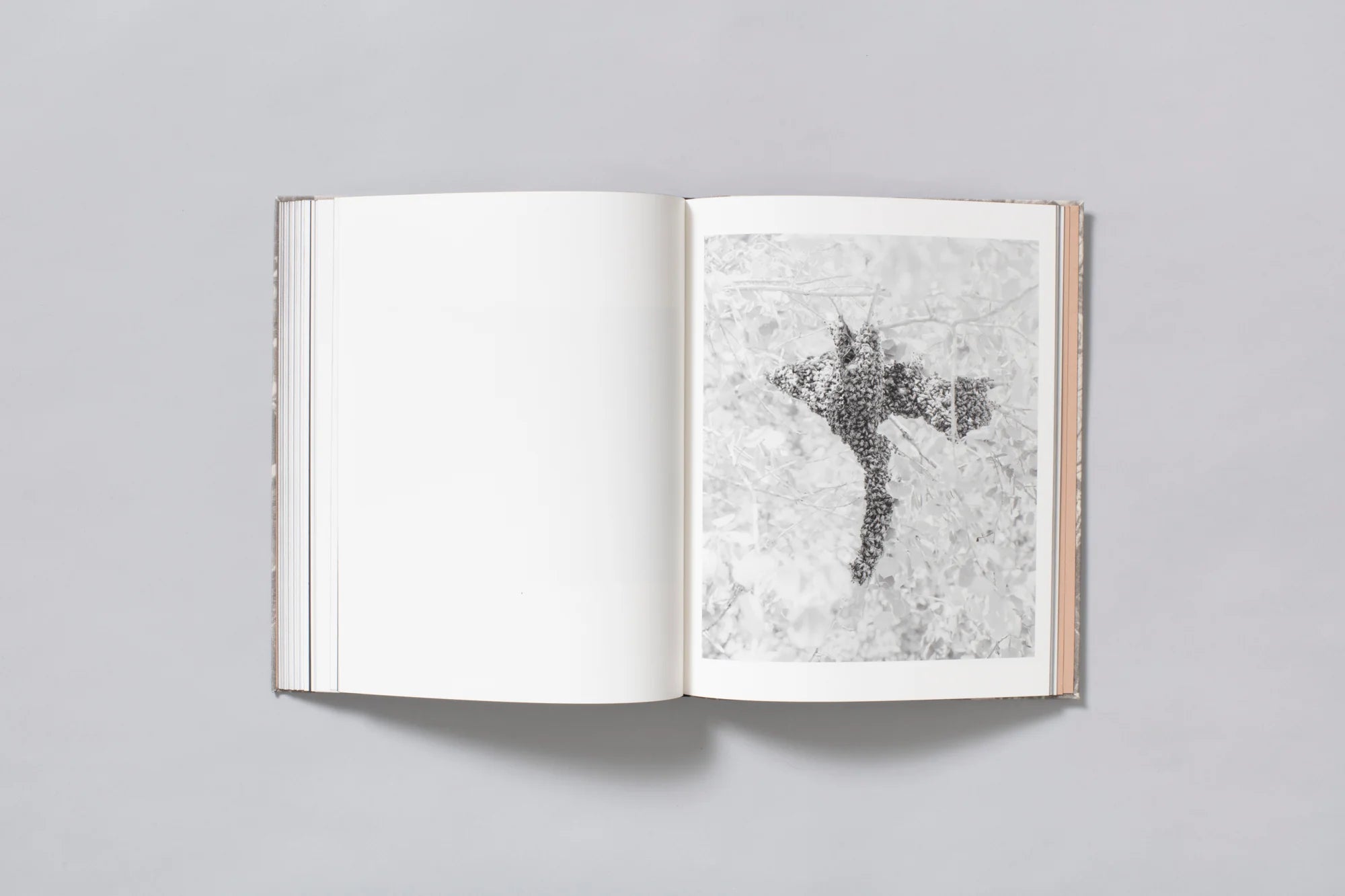 What the Rain Might Bring