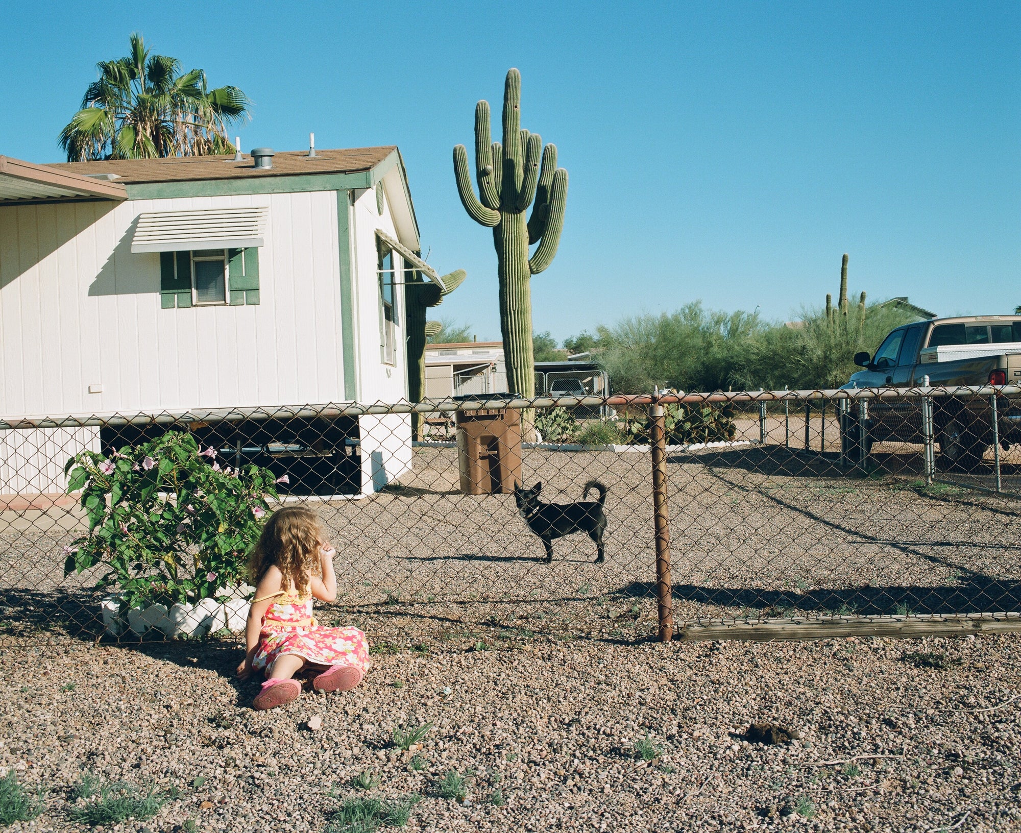 Road Pictures 2017–2024