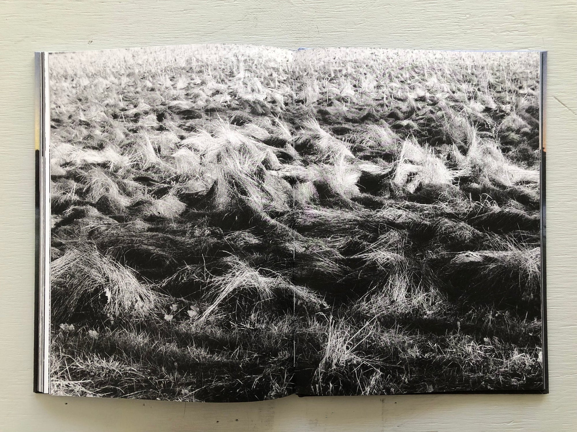 Råda bot, alstra ro