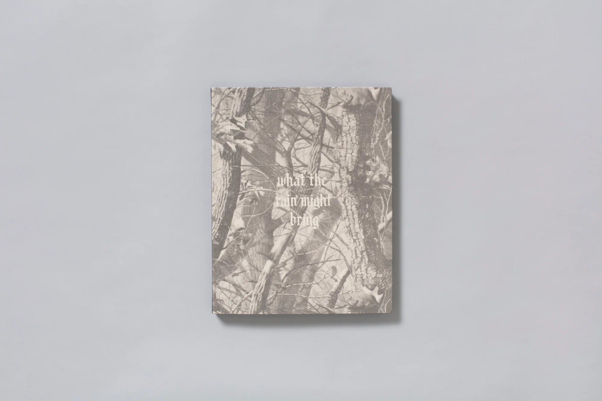 What the Rain Might Bring