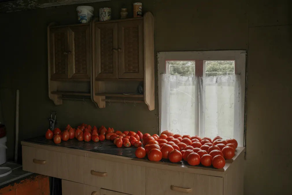 Solstice (Second Edition)