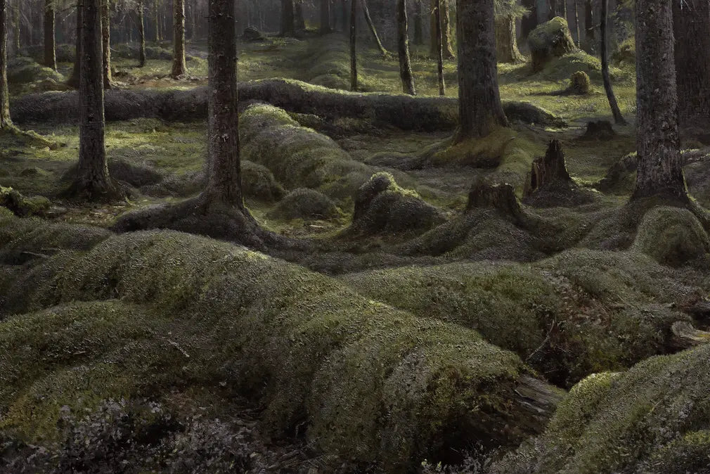 Solstice (Second Edition)