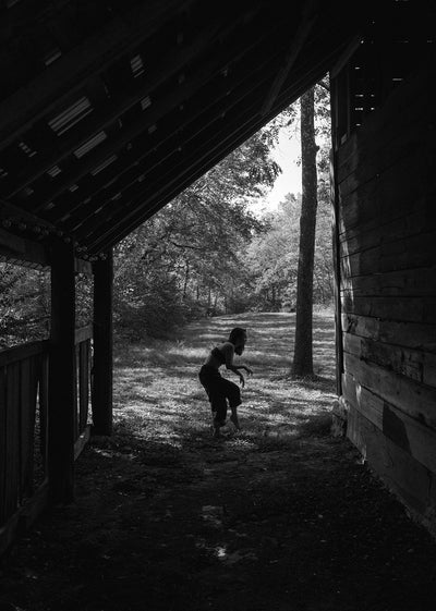 King of All the Land: Mitski