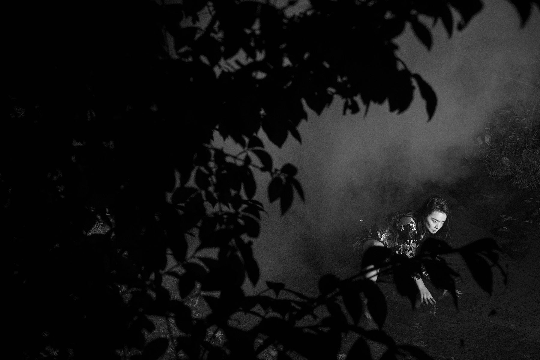 King of All the Land: Mitski