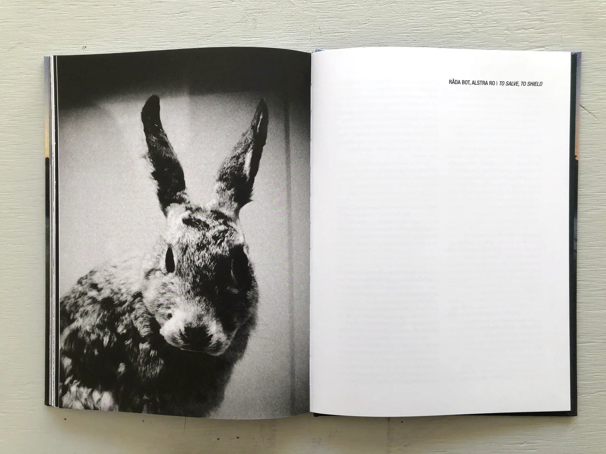 Råda bot, alstra ro