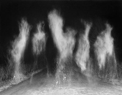 At Night Gardens Grow