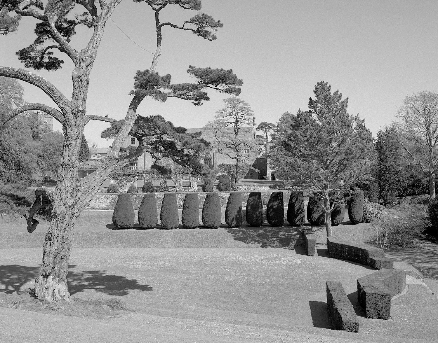 Field Trips: Travels In Britain 1976-1993