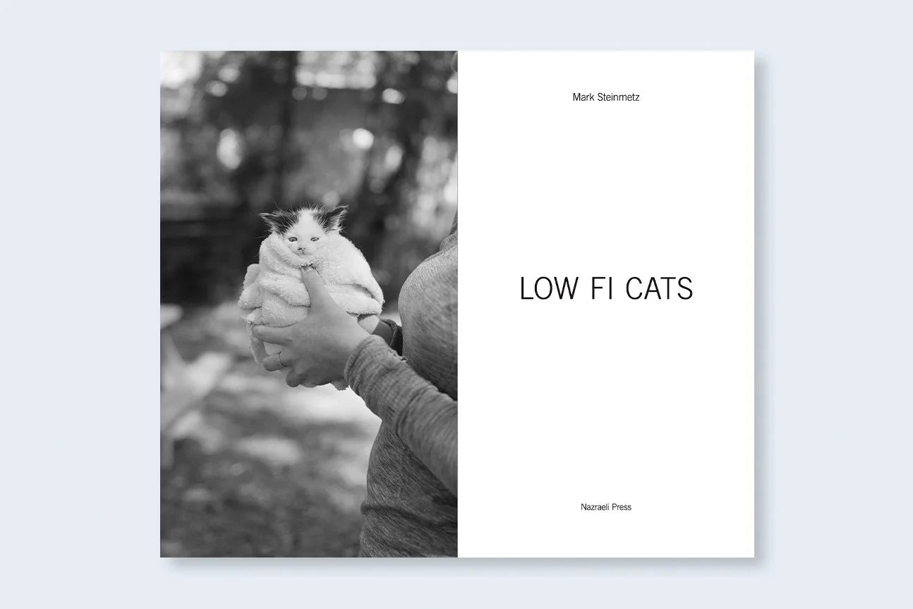 Low-Fi Cats