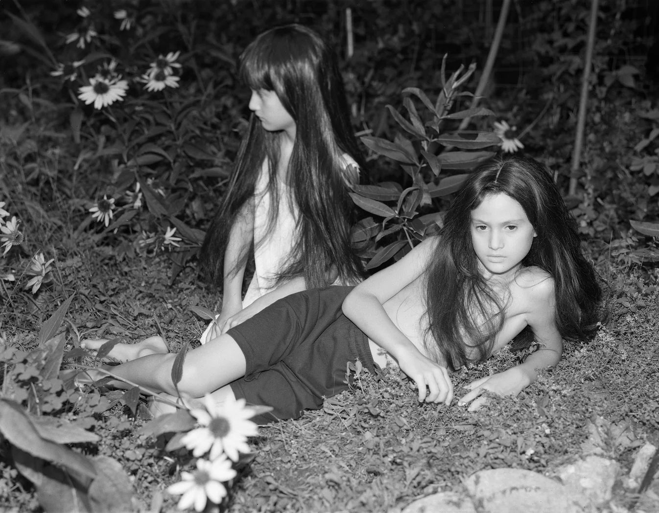 At Night Gardens Grow