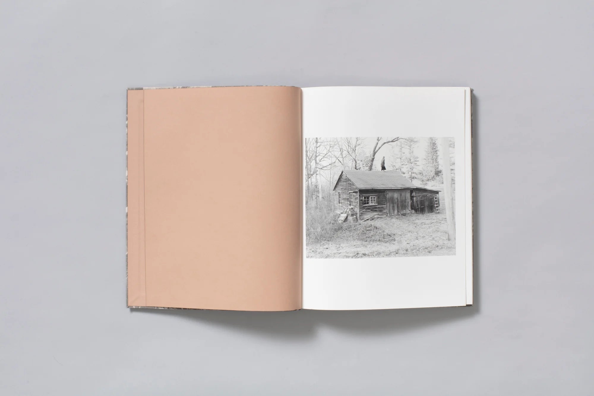 What the Rain Might Bring