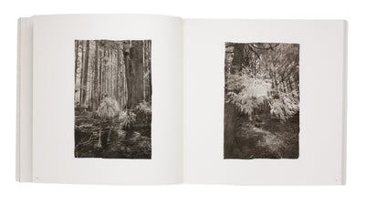 Adagio dans la forêt