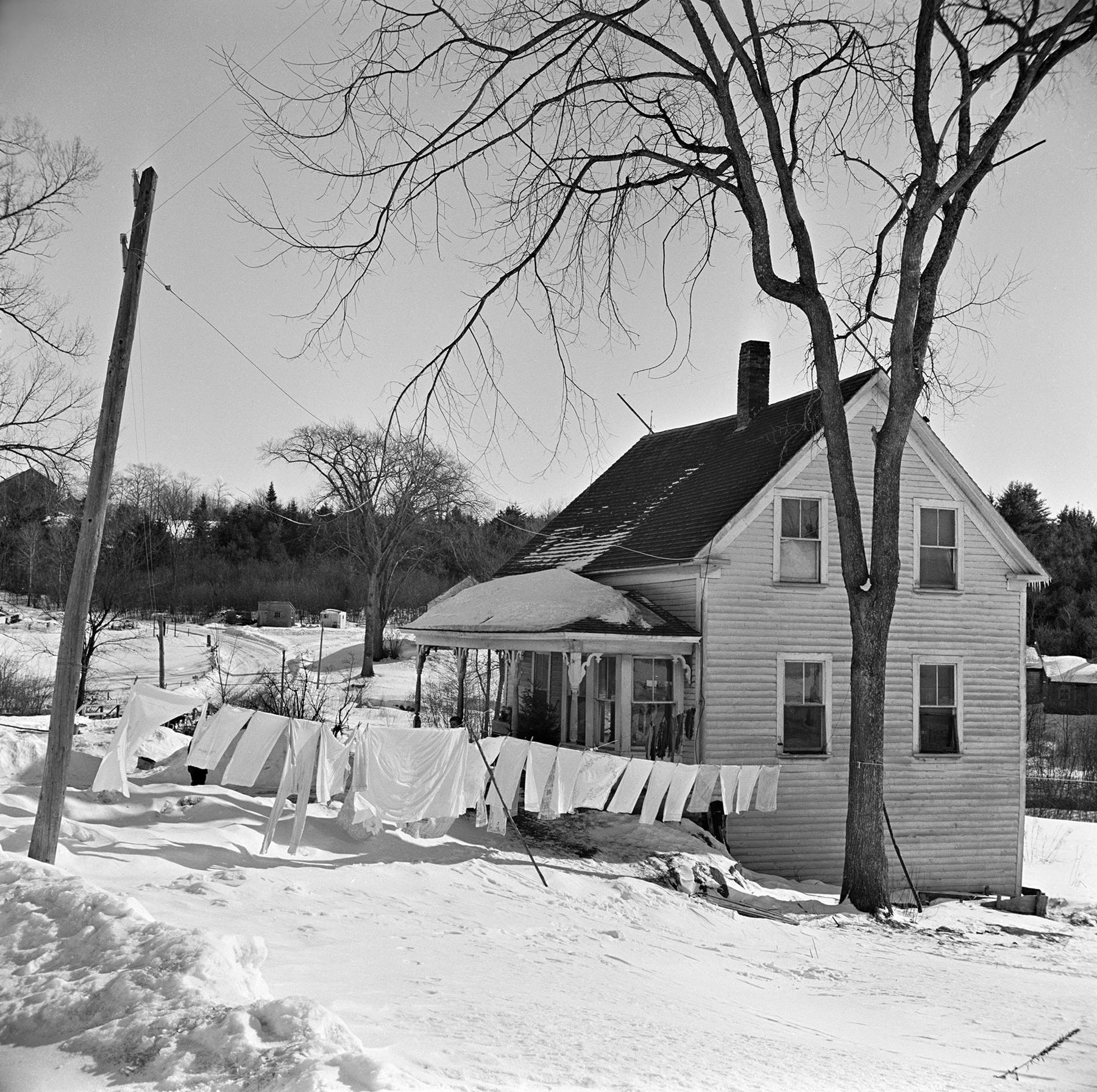 Herklas Brown and Maine, 1944