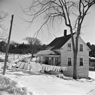 Herklas Brown and Maine, 1944