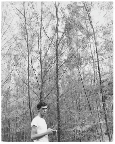 Stay Away From Nothing