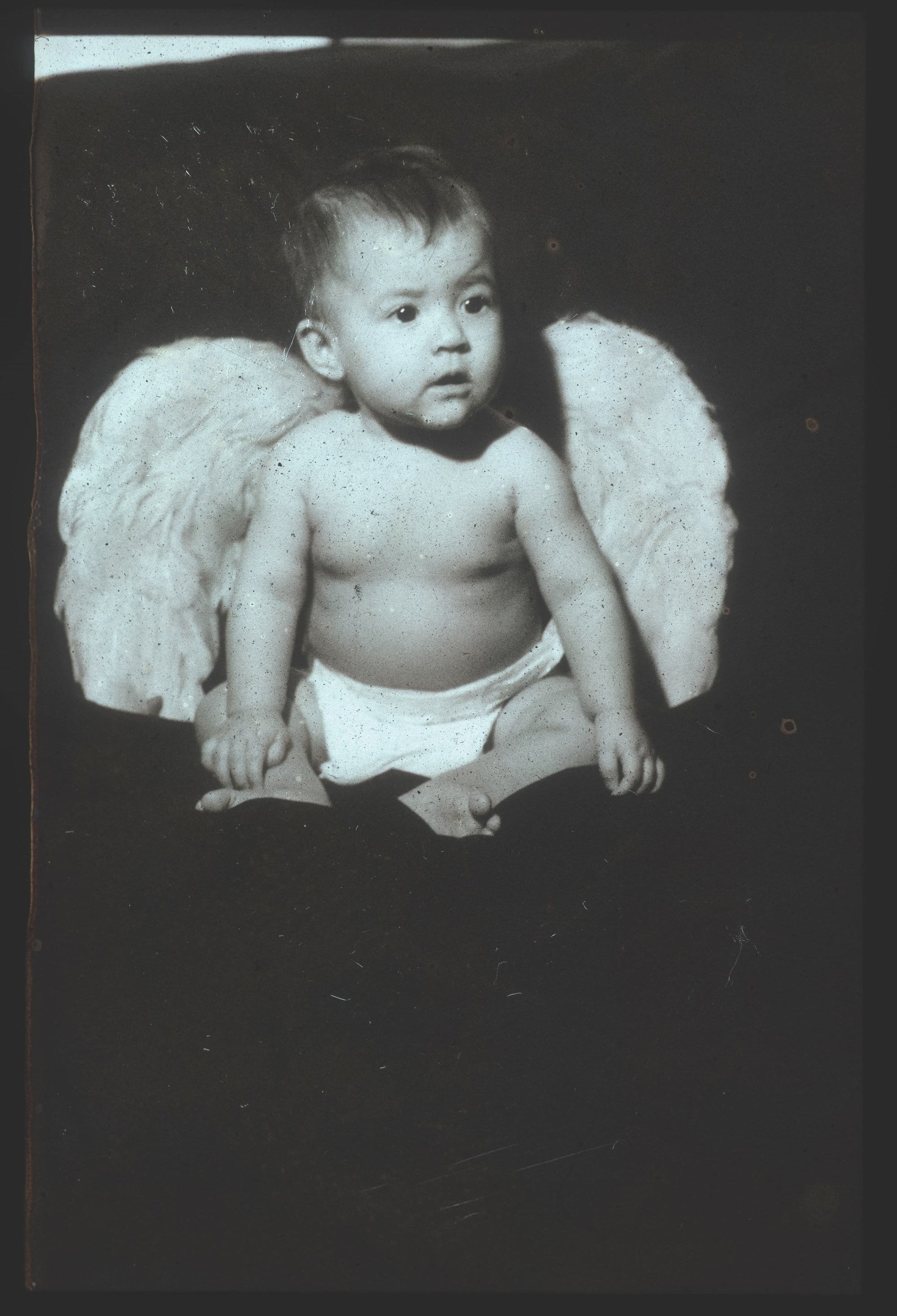 'Out of Date': Pola Pan 1984-1996