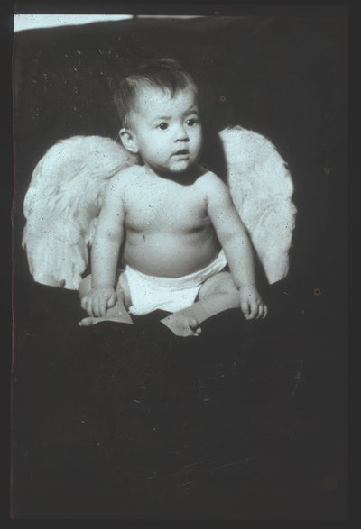 'Out of Date': Pola Pan 1984-1996