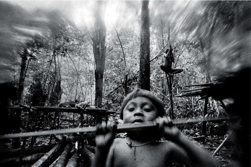 The Yanomami Struggle