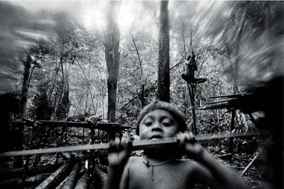 The Yanomami Struggle
