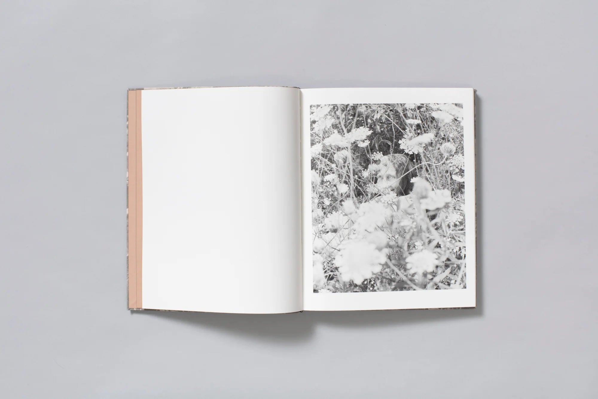 What the Rain Might Bring