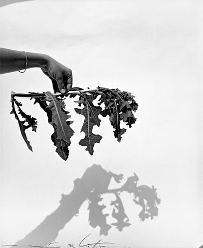 An Abridged Dictionary of Sculpture