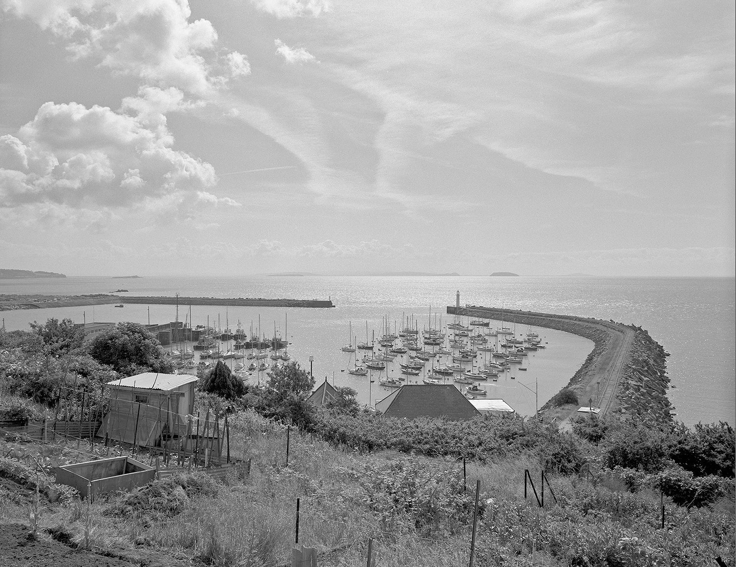 Field Trips: Travels In Britain 1976-1993