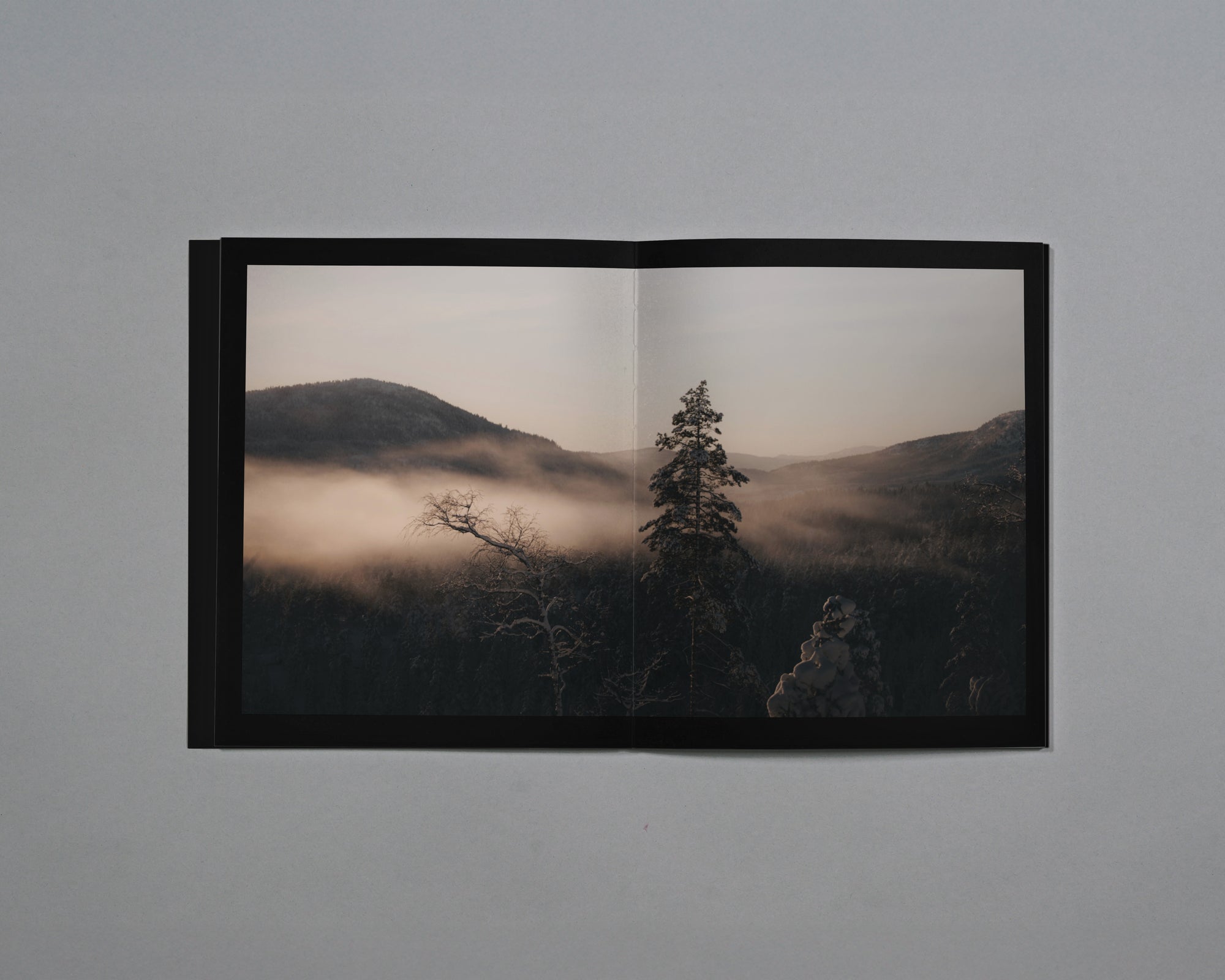 Distant Calls in Fading Light