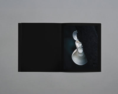 Distant Calls in Fading Light