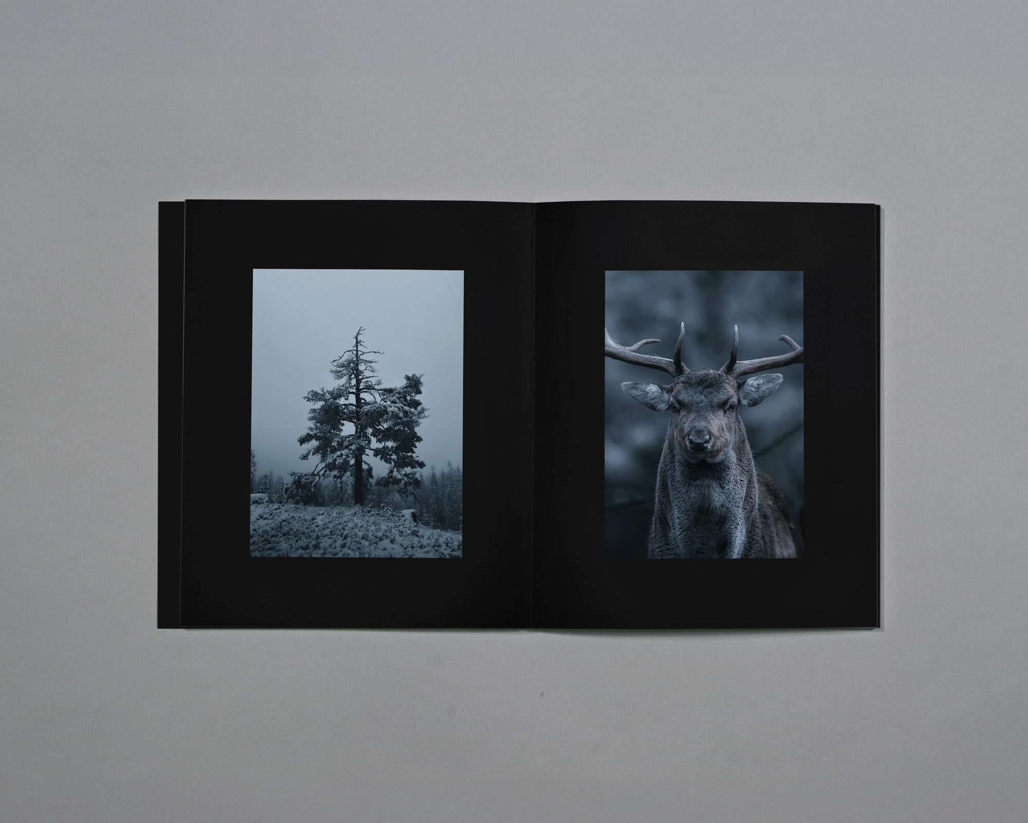 Distant Calls in Fading Light