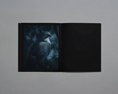 Distant Calls in Fading Light