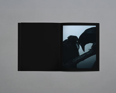 Distant Calls in Fading Light