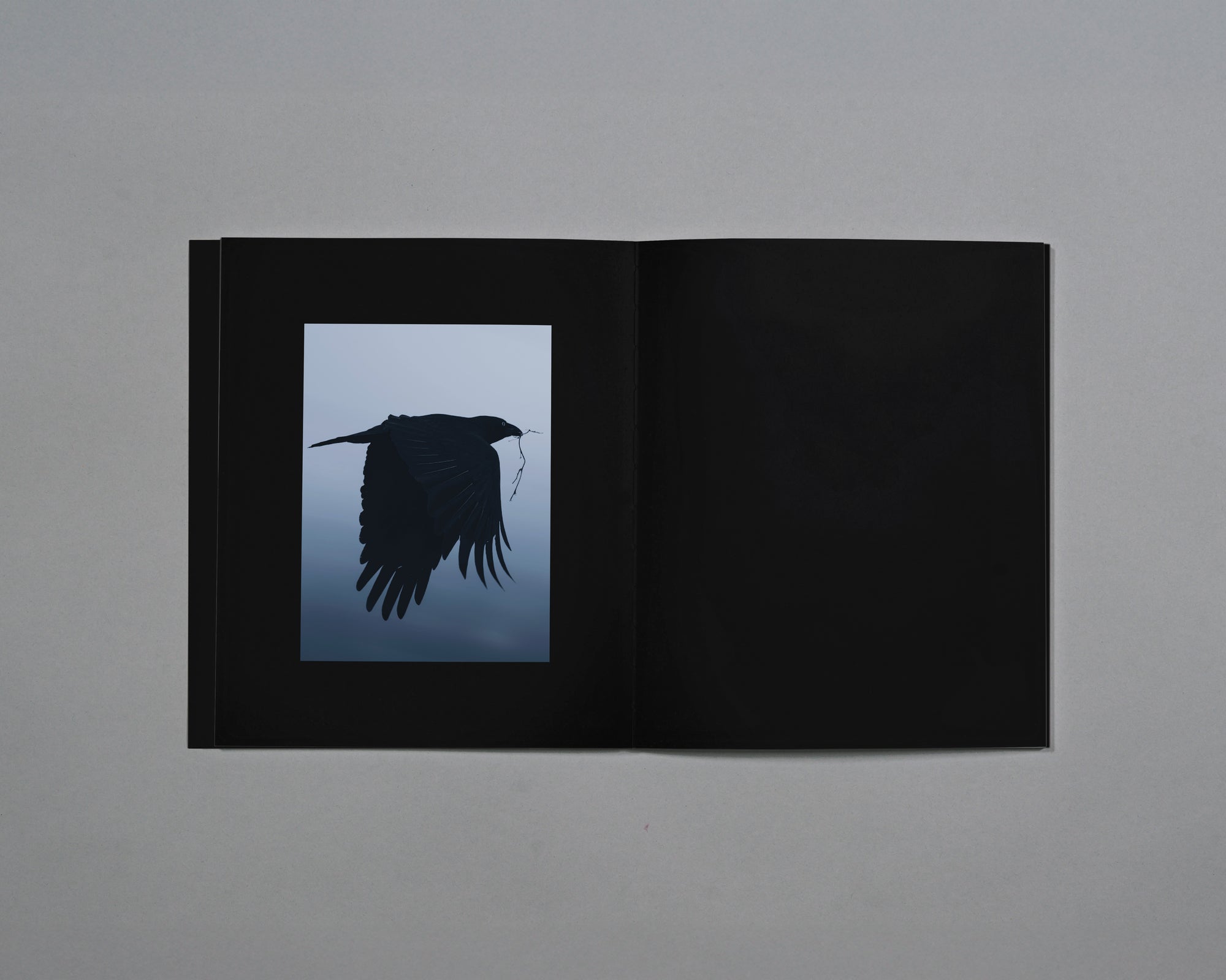 Distant Calls in Fading Light