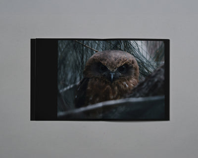 Distant Calls in Fading Light