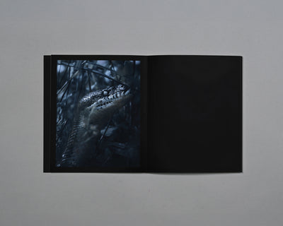 Distant Calls in Fading Light