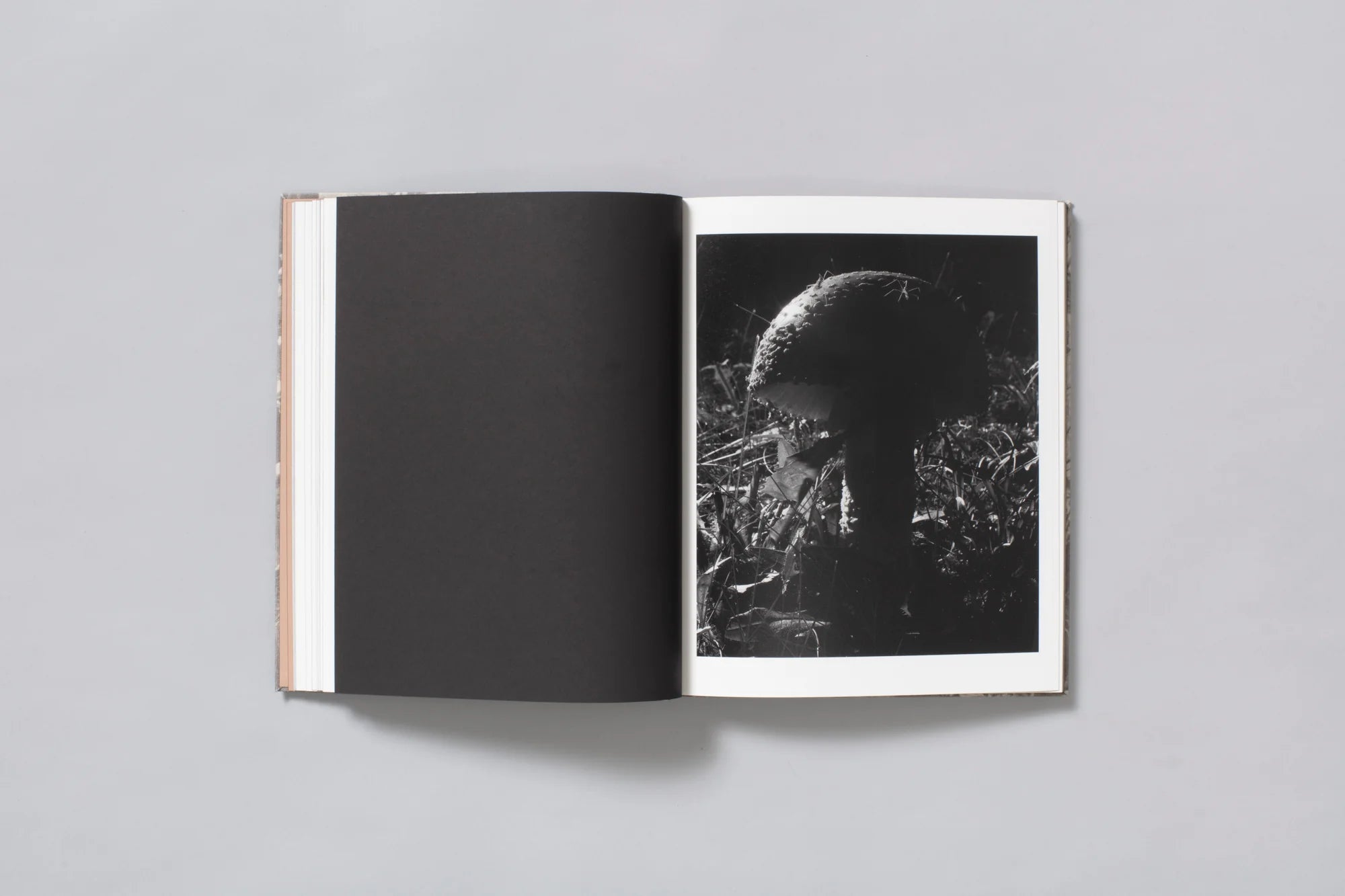 What the Rain Might Bring