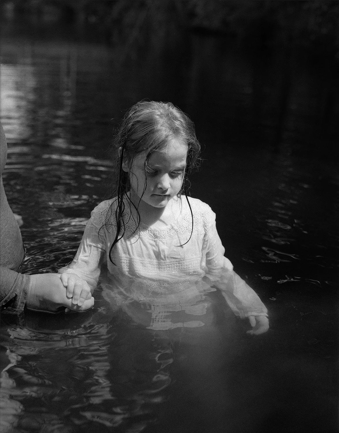 At Night Gardens Grow