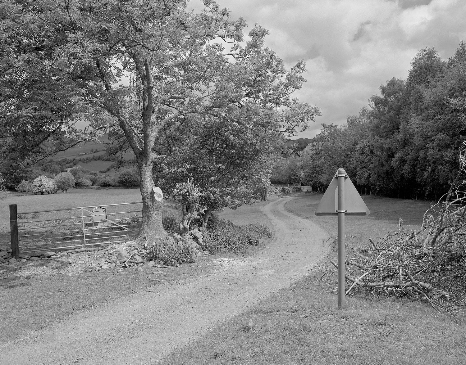 Field Trips: Travels In Britain 1976-1993
