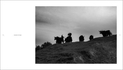 Li Qiang: China Since 1981