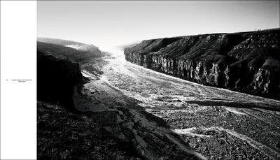 Li Qiang: China Since 1981