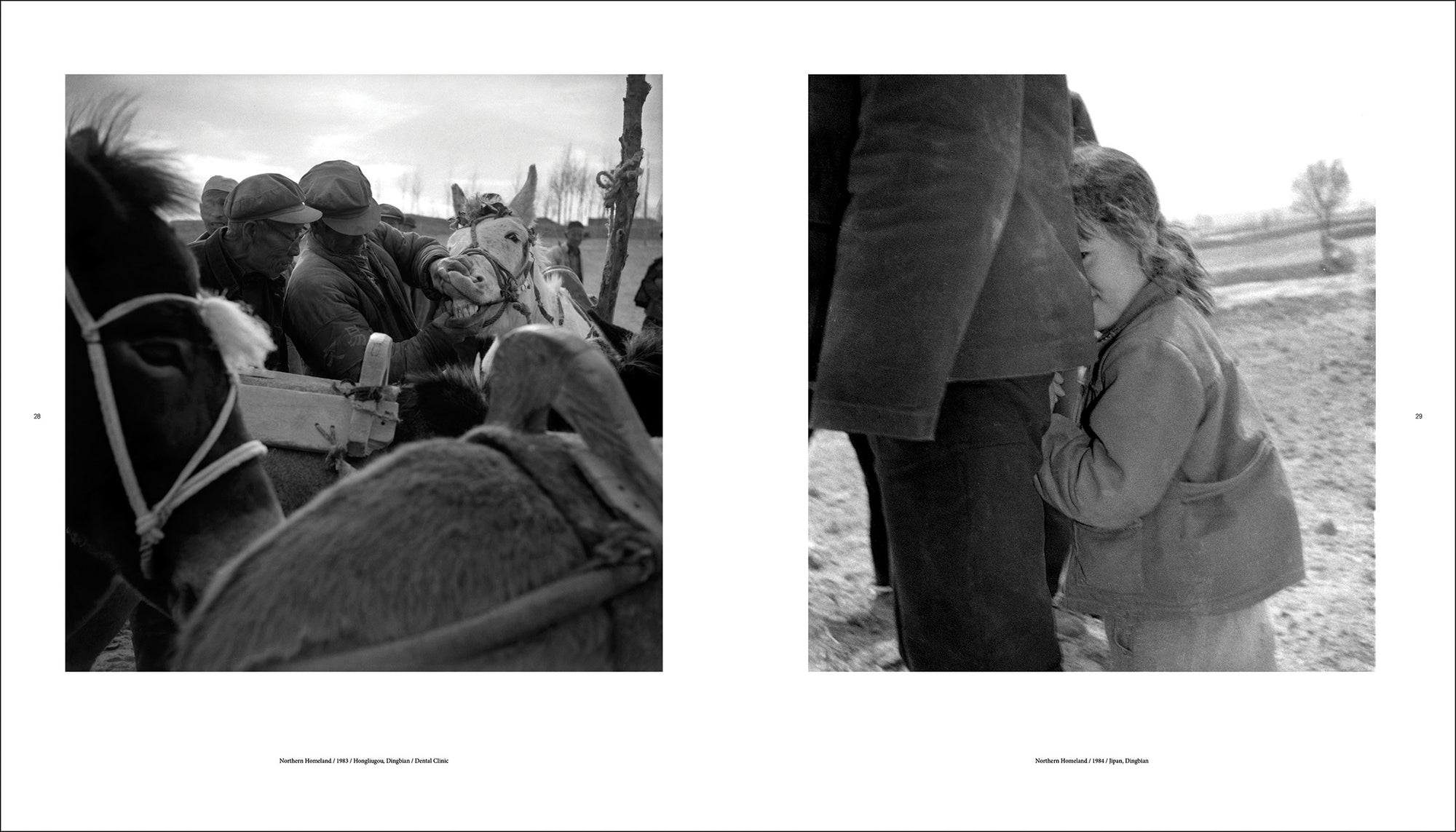 Li Qiang: China Since 1981