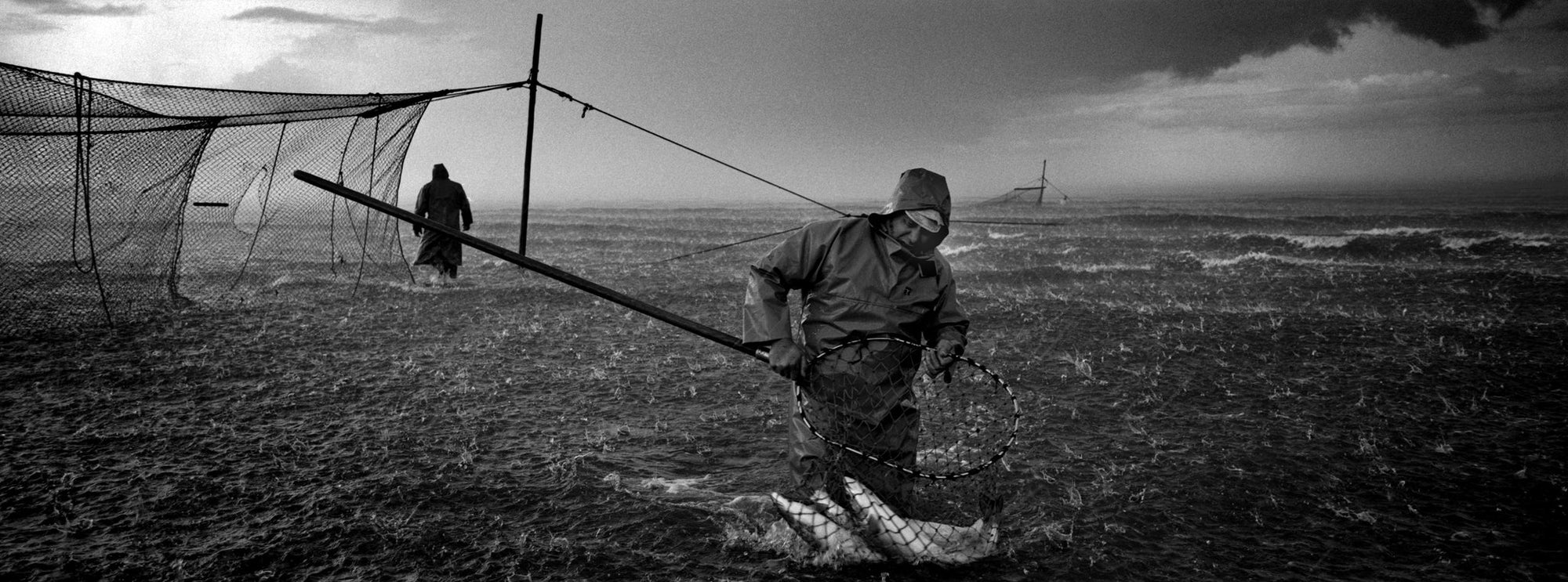 Catching The Tide: Salmon Net Fishing in Scotland